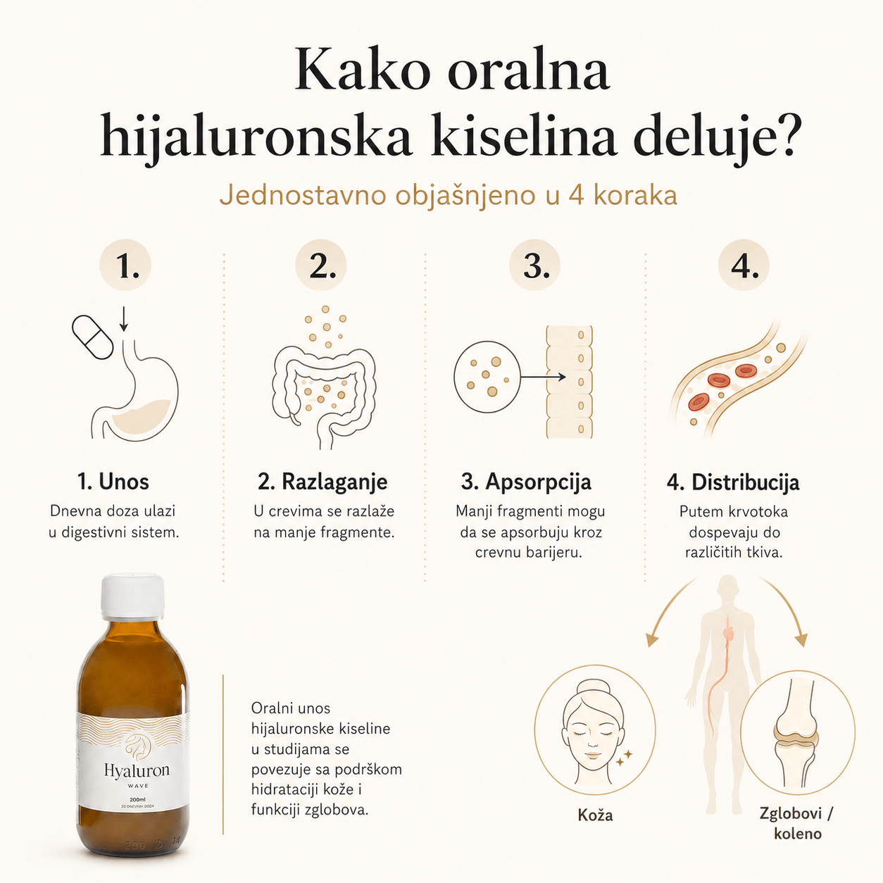 Kako-oralna-hijaluronska-kiselina-deluje